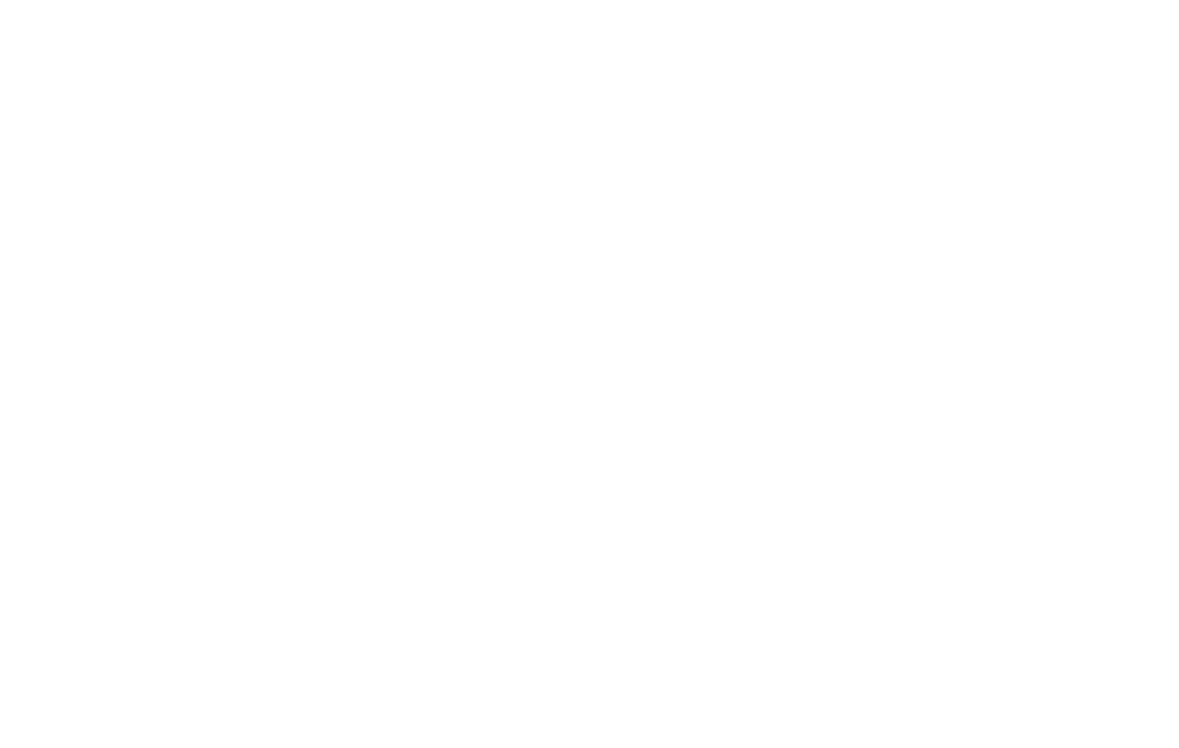 Academia VICBAL