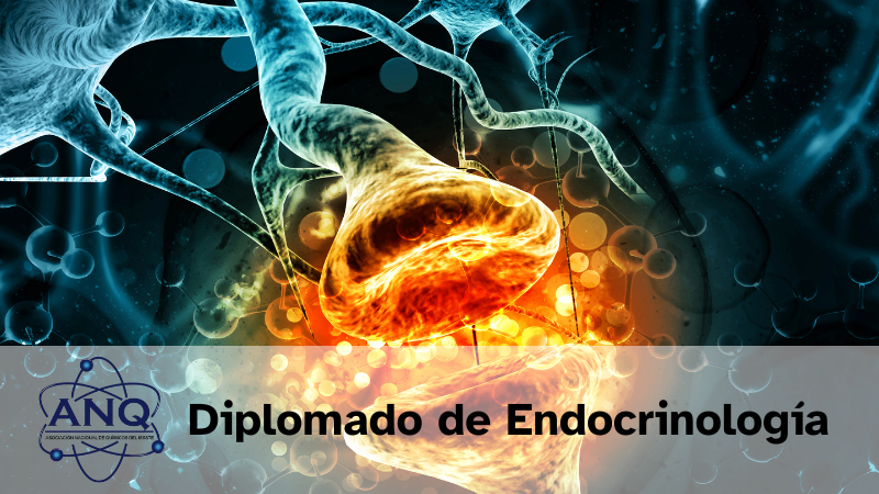 Diplomado de Endocrinología Clínica Diagnóstica - ANQUISSSTE